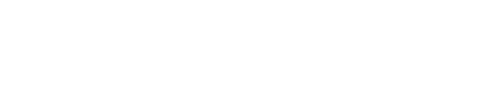 Klean Kanteen Logo White